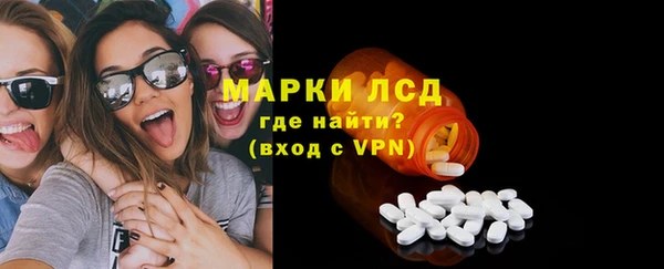 крисы Богородицк