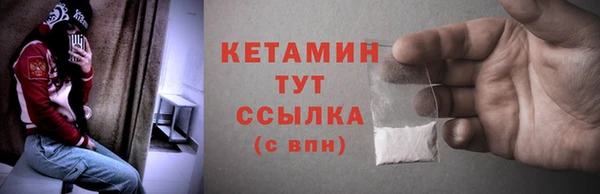 крисы Богородицк