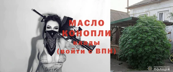 гидра Богородск