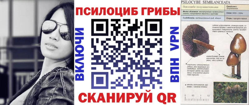 Галлюциногенные грибы Psilocybine cubensis Новочебоксарск
